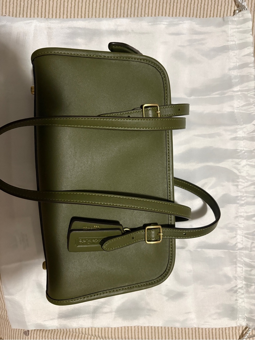 Coach Olive Swing zip bag